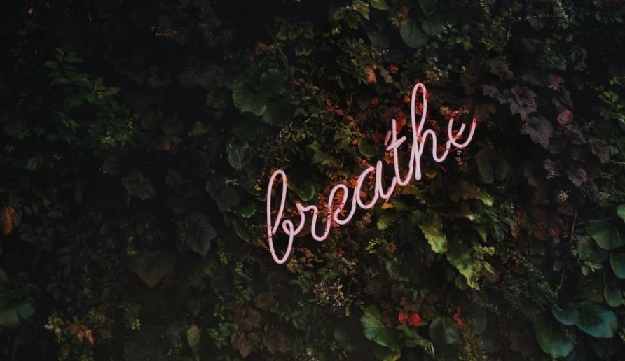 'breathe' - life coaching interview with tom paine